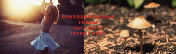 марки lsd Нея
